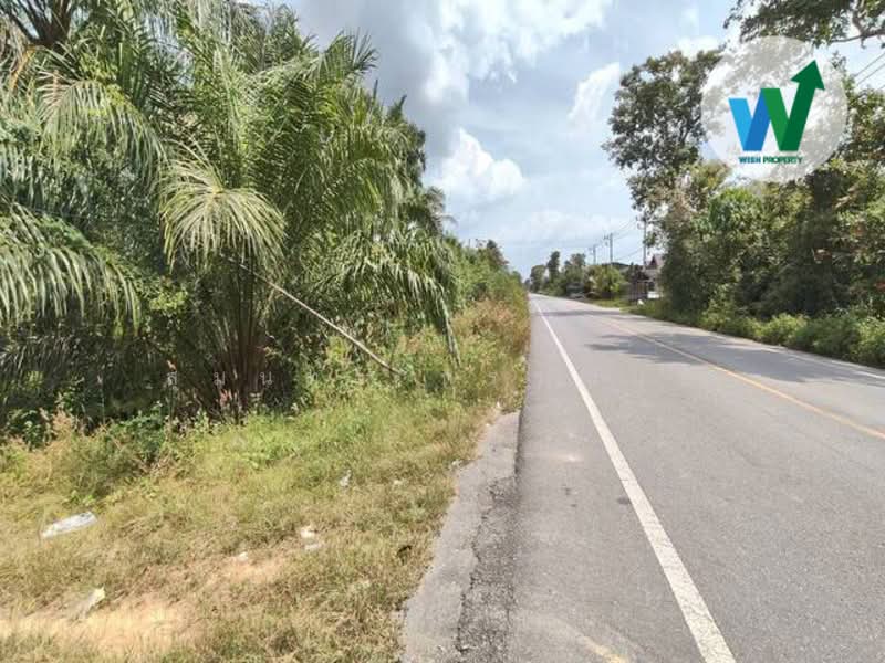 For Land At Ban Phrao Paphayom Phatthalung, Phatthalung