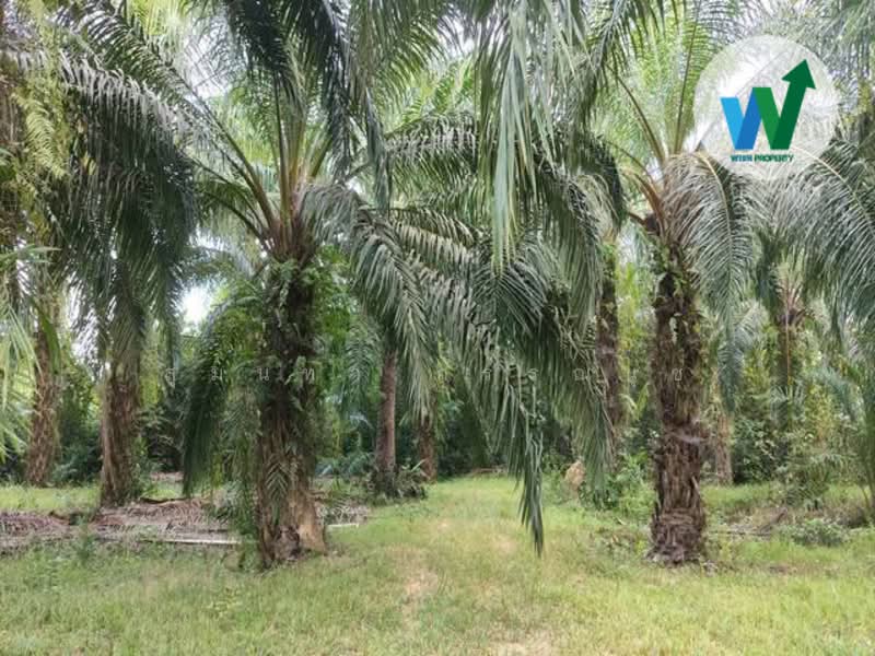 For Land At Ban Phrao Paphayom Phatthalung, Phatthalung