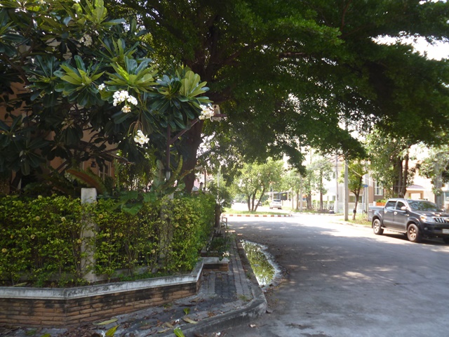 Baan Lalin In the park Wongwaen - Thepharak