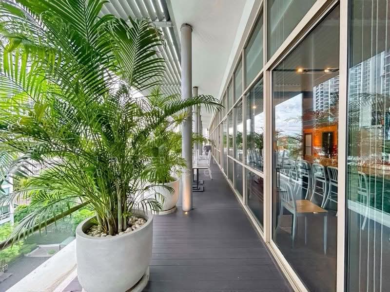 Ficus Lane, Bangkok