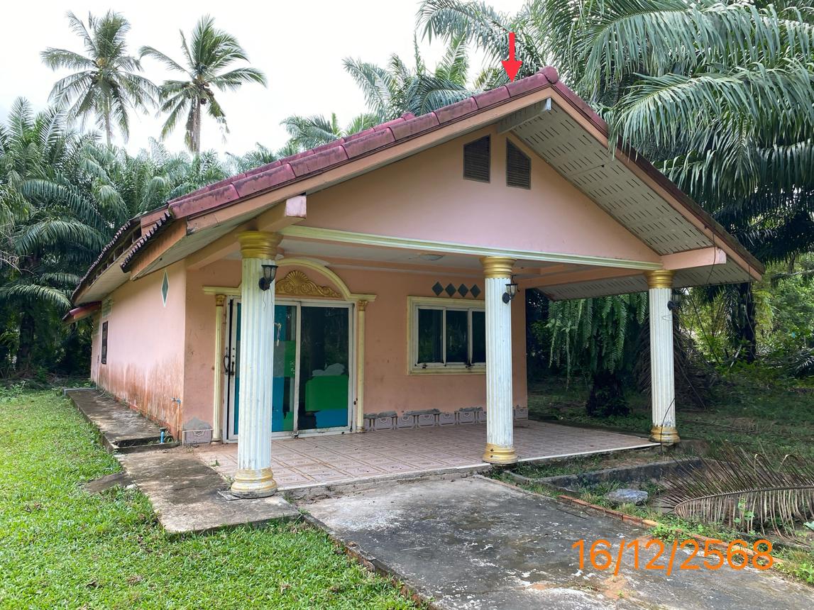 Single Detached House in Klong Thom, Krabi