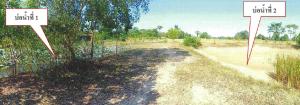 Empty Land, Golden Soil Sakon Nakhon