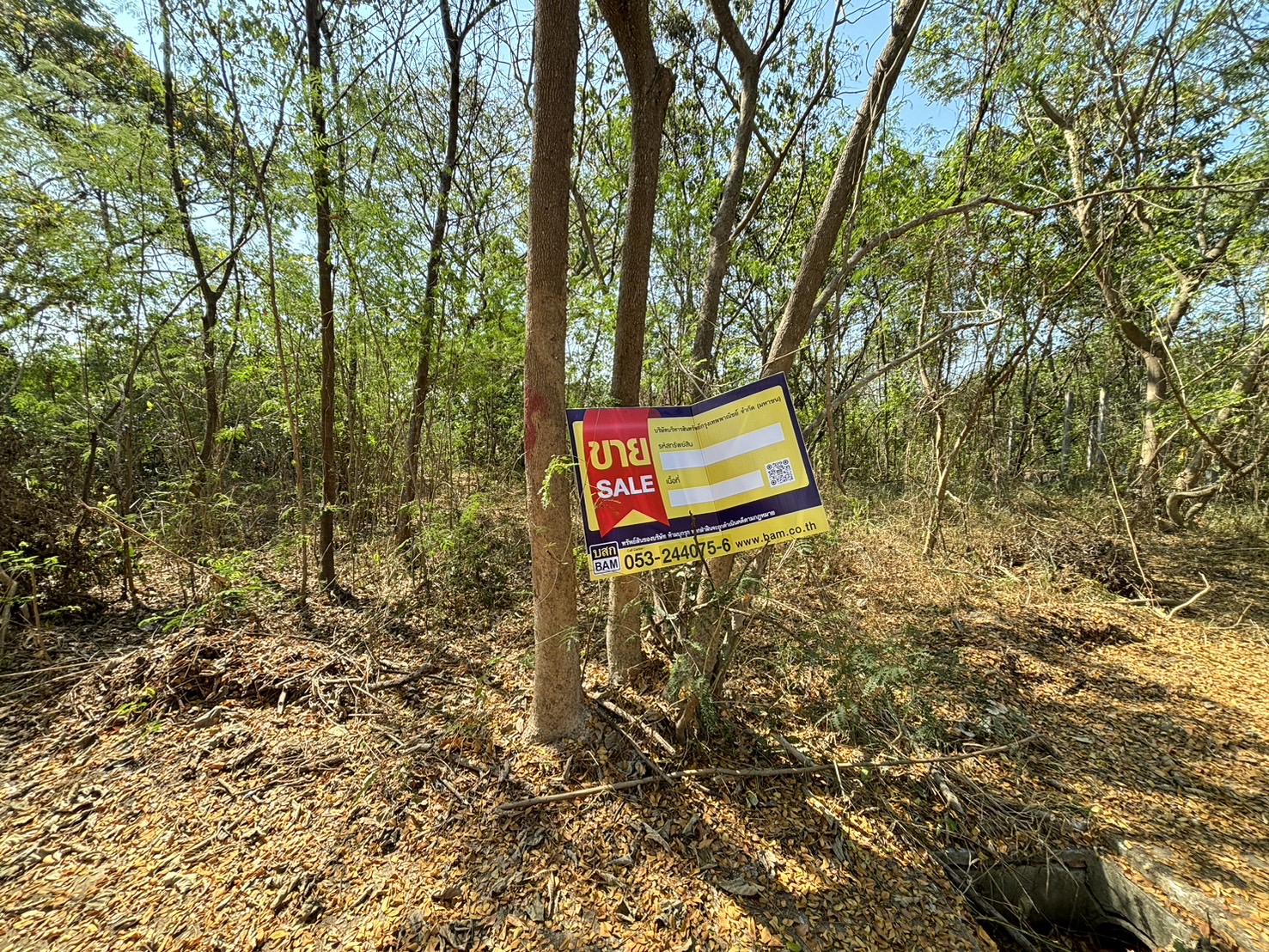 Empty land, Phra Phrom Paradise project, Chiang Mai