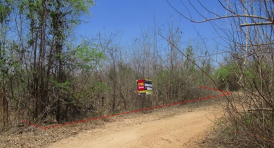 Empty land, Sakthong Property Farm Project, Lamphun
