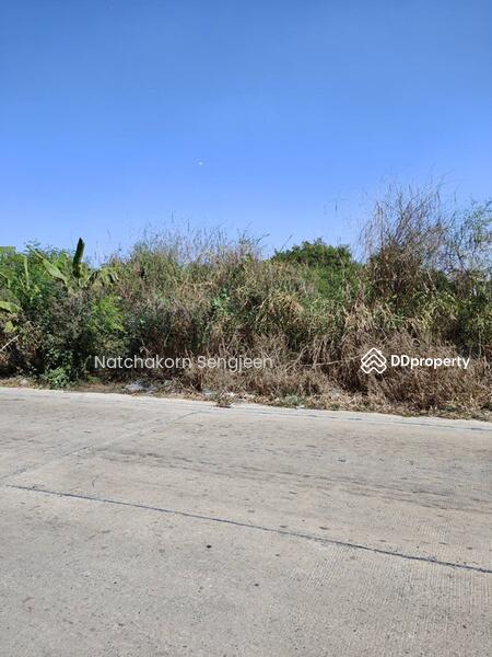 Sale of land 10 rai 174 square wa. Soi Thanasit, Theparak Road, Bang Pla , Bang Phli , Samut Prakan., Samut Prakan