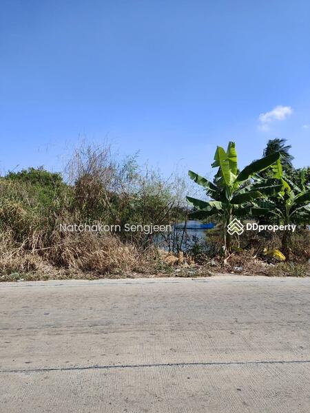 Sale of land 10 rai 174 square wa. Soi Thanasit, Theparak Road, Bang Pla , Bang Phli , Samut Prakan., Samut Prakan