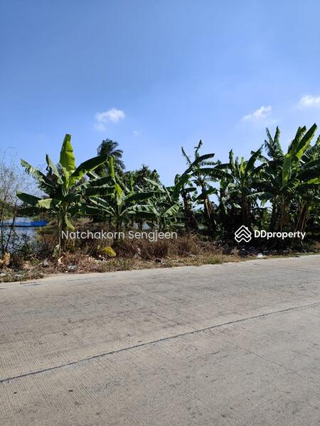 Sale of land 10 rai 174 square wa. Soi Thanasit, Theparak Road, Bang Pla , Bang Phli , Samut Prakan., Samut Prakan