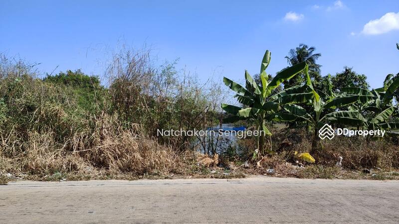 Sale of land 10 rai 174 square wa. Soi Thanasit, Theparak Road, Bang Pla , Bang Phli , Samut Prakan., Samut Prakan