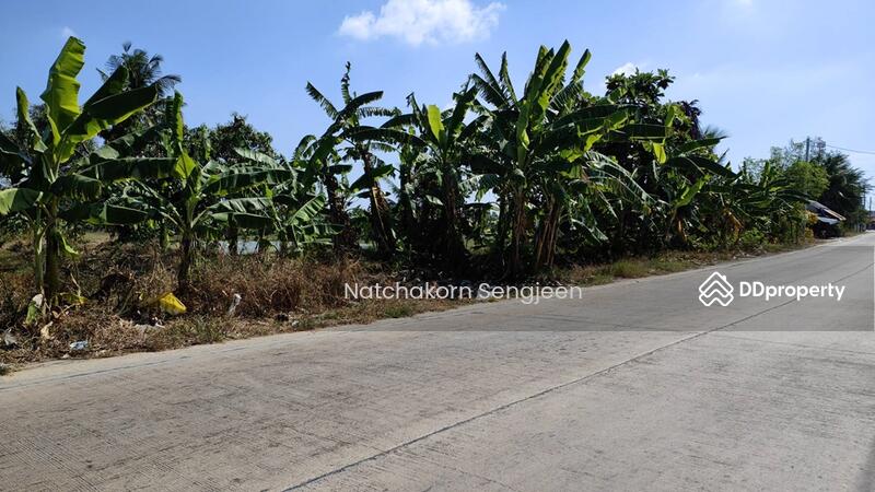 Sale of land 10 rai 174 square wa. Soi Thanasit, Theparak Road, Bang Pla , Bang Phli , Samut Prakan., Samut Prakan