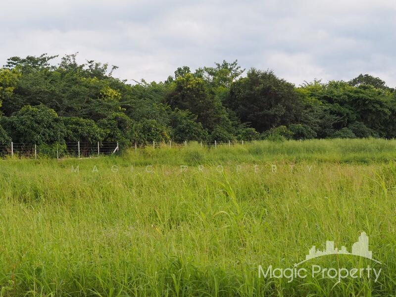 Land for Sale at Khao Yai, Khanong Phra, Pak Chong, Nakhon Ratchasima, Nakhon Ratchasima