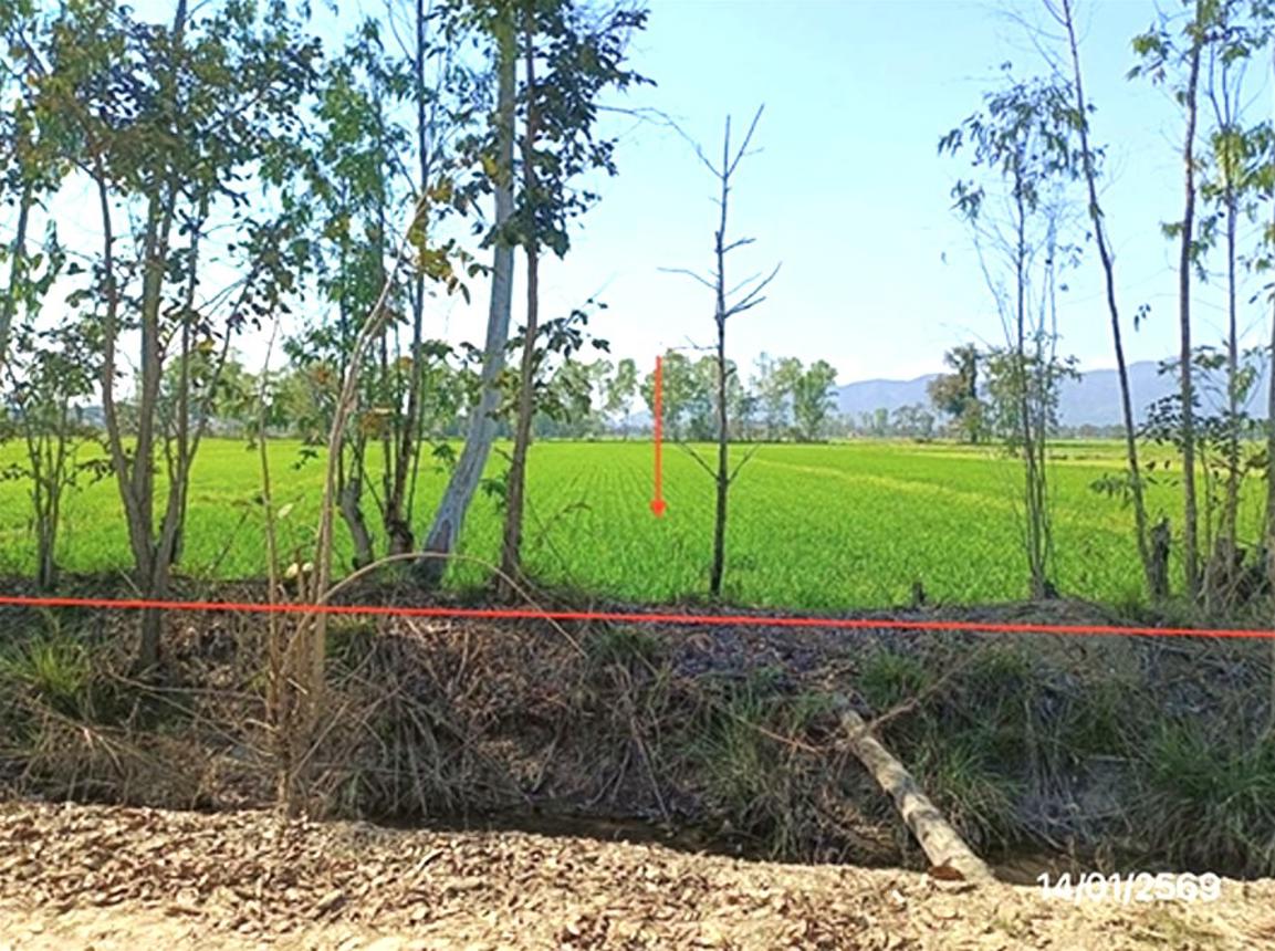 Vacant Land for Sale in Chiang Rai