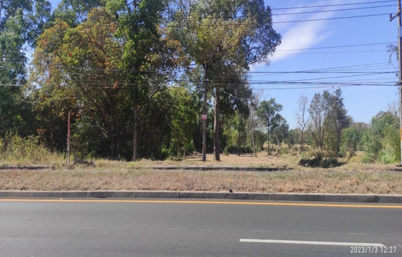 Empty land for sale in Maha Sarakham Province, Maha Sarakham