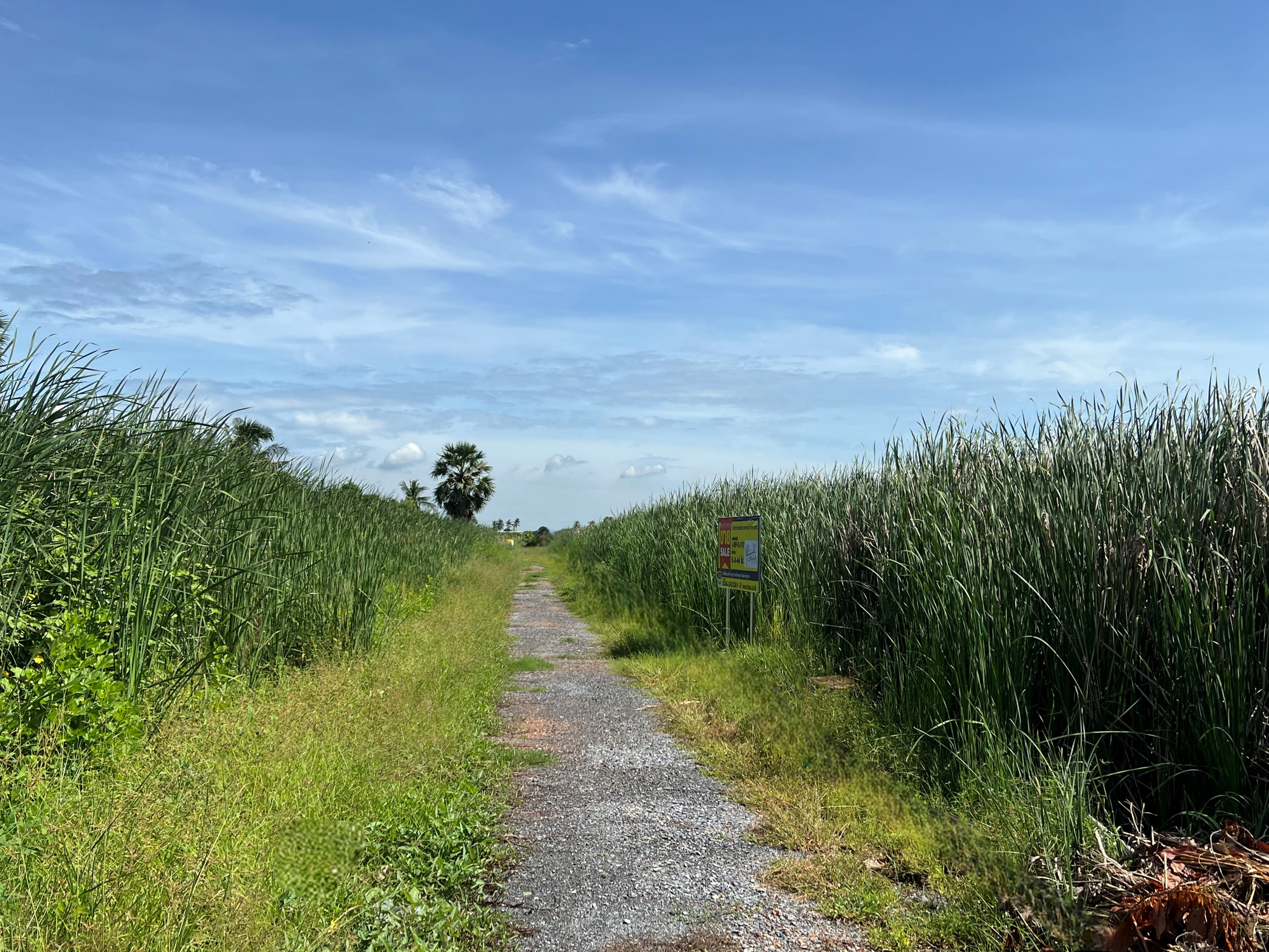 Empty land, Nakhon Pathom Military Housing Project