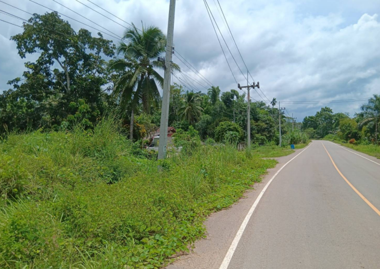 ที่ดินว่างเปล่า คลองท่อม กระบี่ พื้นที่ 1-2 ไร่