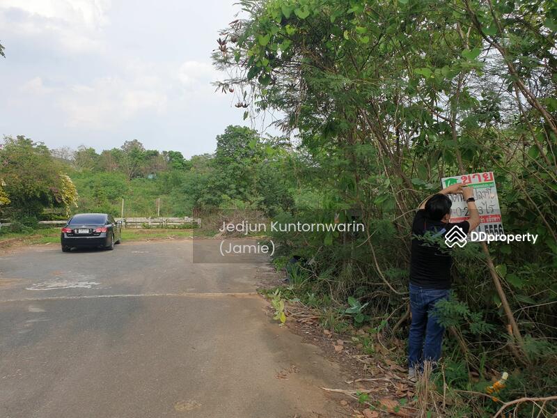 ขายที่ดิน ปากช่อง ภูพิมานรีสอร์ต เหมาะปลูกบ้าน อากาศดีมาก, Nakhon Ratchasima
