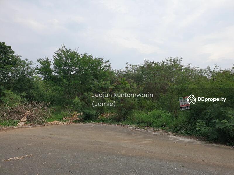ขายที่ดิน ปากช่อง ภูพิมานรีสอร์ต เหมาะปลูกบ้าน อากาศดีมาก, Nakhon Ratchasima