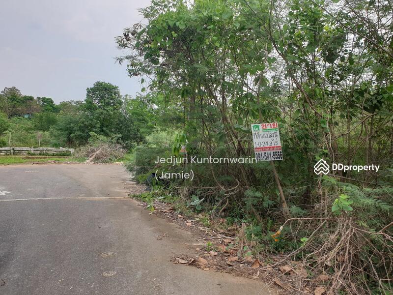 ขายที่ดิน ปากช่อง ภูพิมานรีสอร์ต เหมาะปลูกบ้าน อากาศดีมาก, Nakhon Ratchasima