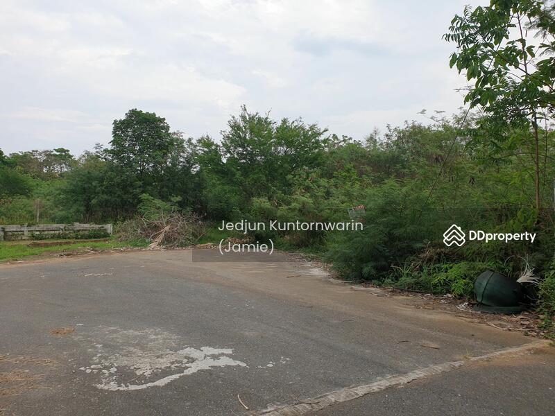 ขายที่ดิน ปากช่อง ภูพิมานรีสอร์ต เหมาะปลูกบ้าน อากาศดีมาก, Nakhon Ratchasima