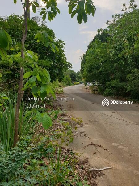ขายที่ดิน ปากช่อง ภูพิมานรีสอร์ต เหมาะปลูกบ้าน อากาศดีมาก, Nakhon Ratchasima