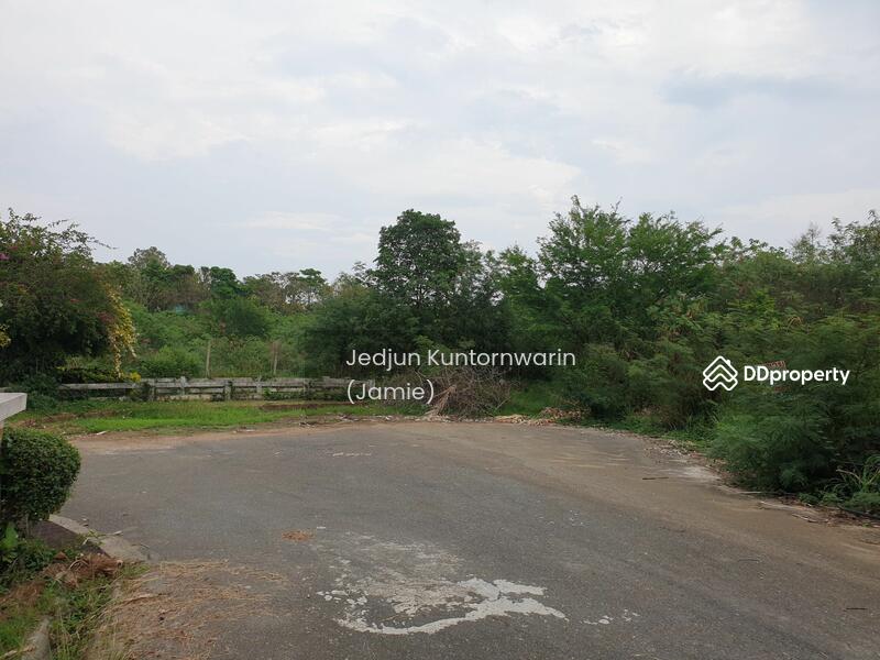 ขายที่ดิน ปากช่อง ภูพิมานรีสอร์ต เหมาะปลูกบ้าน อากาศดีมาก, Nakhon Ratchasima