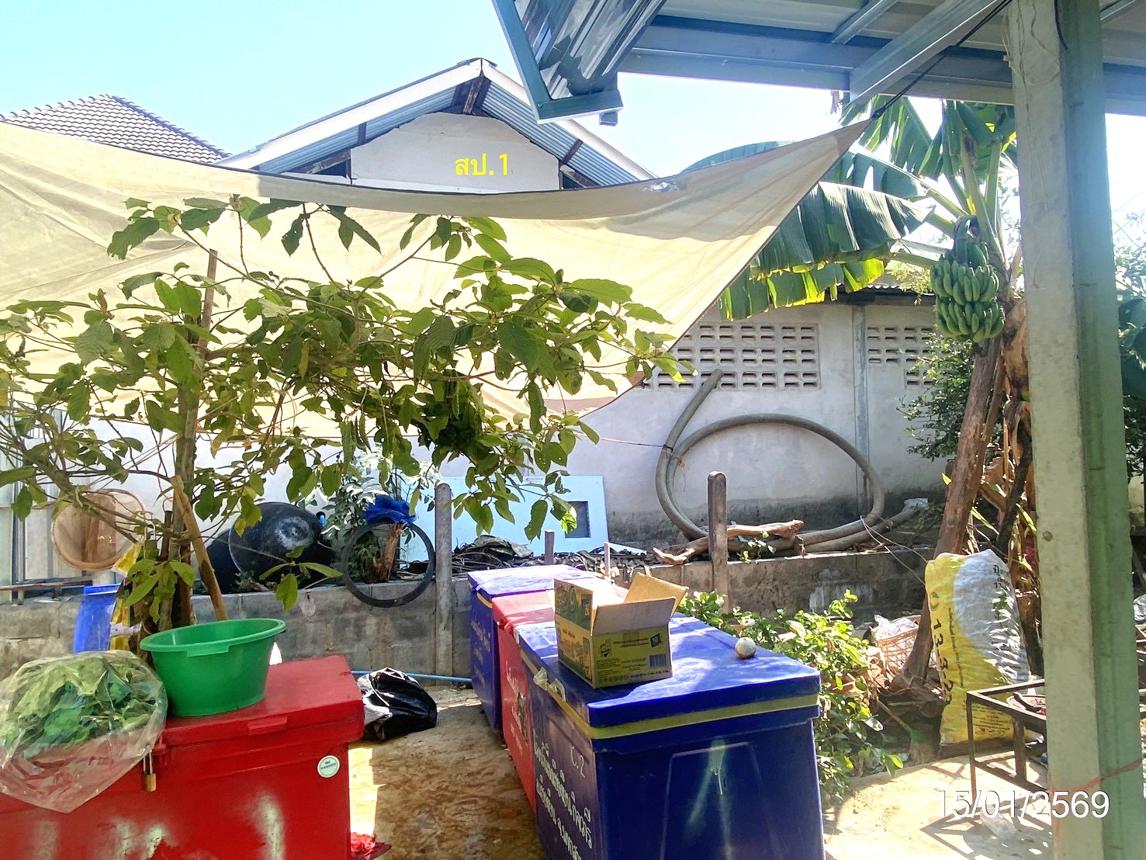 Single House in Chey Yen, Mahasarakham