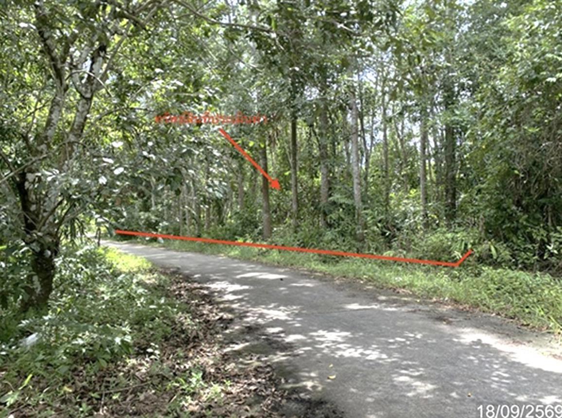 Empty land plot in Nakhon Si Thammarat, Songkhla Province