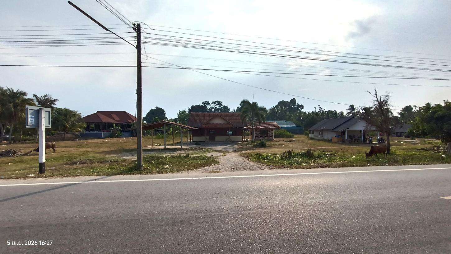 Single House in Khuan Niang, Songkhla