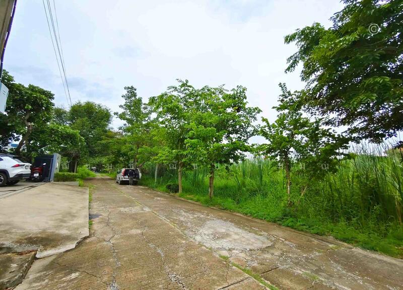 ขายที่ดินสวย บางบัวทอง 3 งาน 20 ตรว. ทำเลดี ถนนวัดลาดปลาดุก ใกล้ เซ็นทรัล เวสต์เกต, Nonthaburi