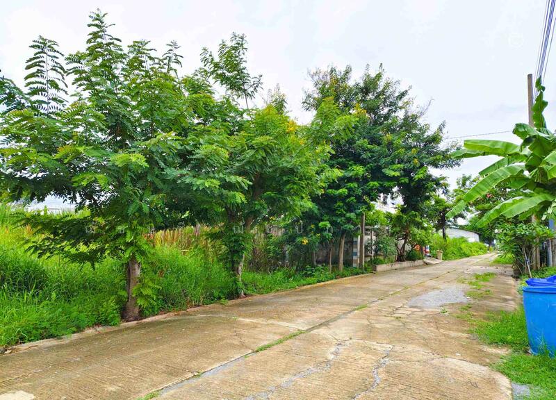 ขายที่ดินสวย บางบัวทอง 3 งาน 20 ตรว. ทำเลดี ถนนวัดลาดปลาดุก ใกล้ เซ็นทรัล เวสต์เกต, Nonthaburi