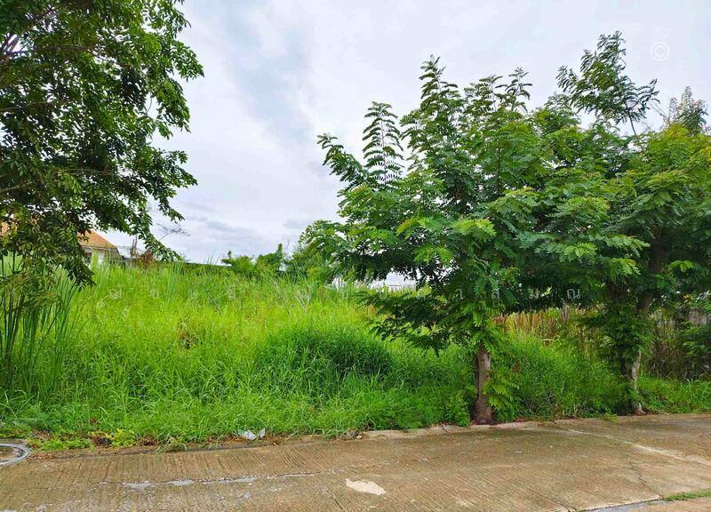 ขายที่ดินสวย บางบัวทอง 3 งาน 20 ตรว. ทำเลดี ถนนวัดลาดปลาดุก ใกล้ เซ็นทรัล เวสต์เกต, Nonthaburi