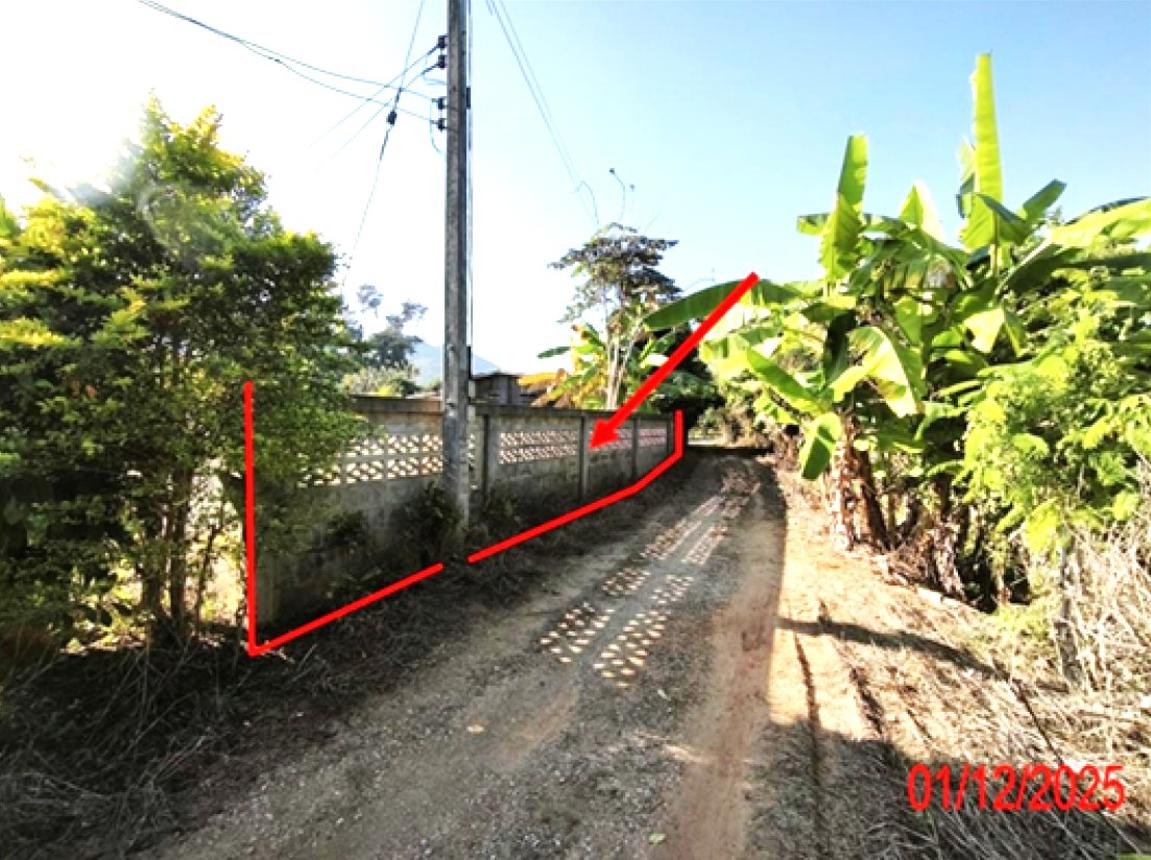 Empty land, Hong Home, Lamphun.