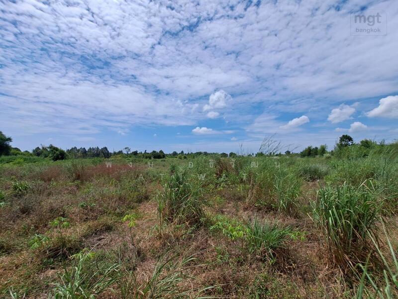 Land in Bang Lamung, Chonburi, near the EEC Laem C, Chon Buri (Pattaya)