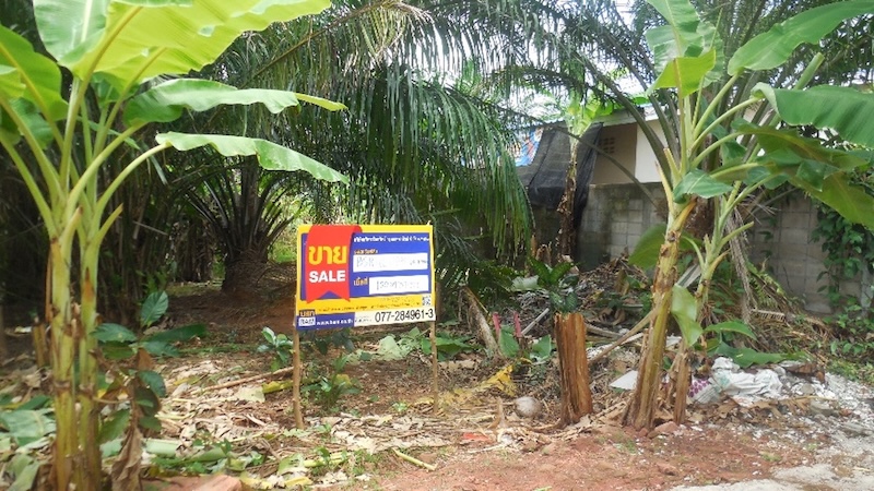 Vacant Land, Garden Home Project, Surat Thani