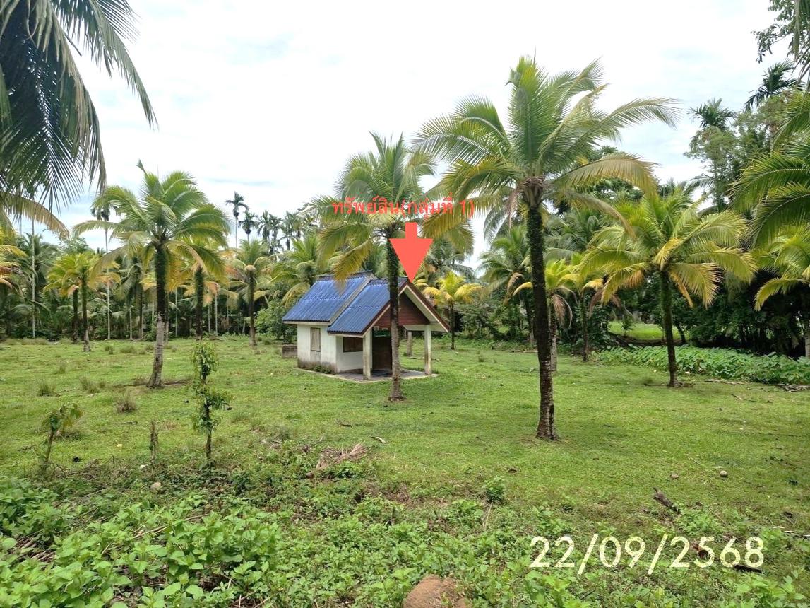 บ้านเดี่ยว กันตัง ตรัง - บ้านเดี่ยวแนวใหม่ คลองกันตัง ตรัง