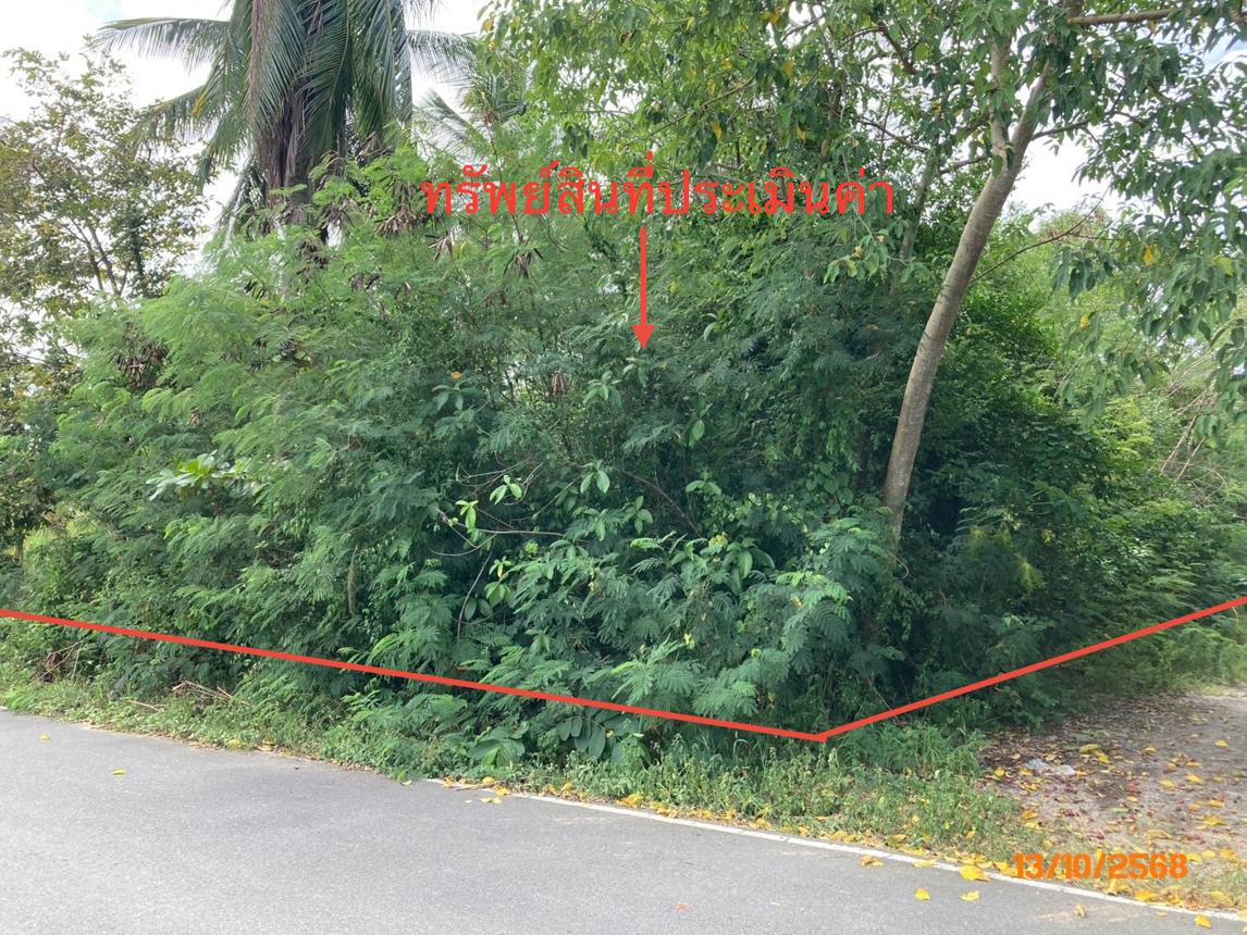 Vacant Land, Don Sak, Surat Thani