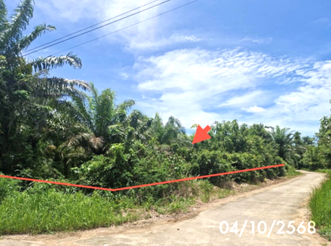 ที่ดินว่างเปล่า ปะเหลียน ตรัง