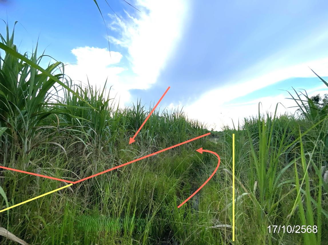 Vacant Land for Sale in Nakhon Sawan, Nakhon Sawan Province