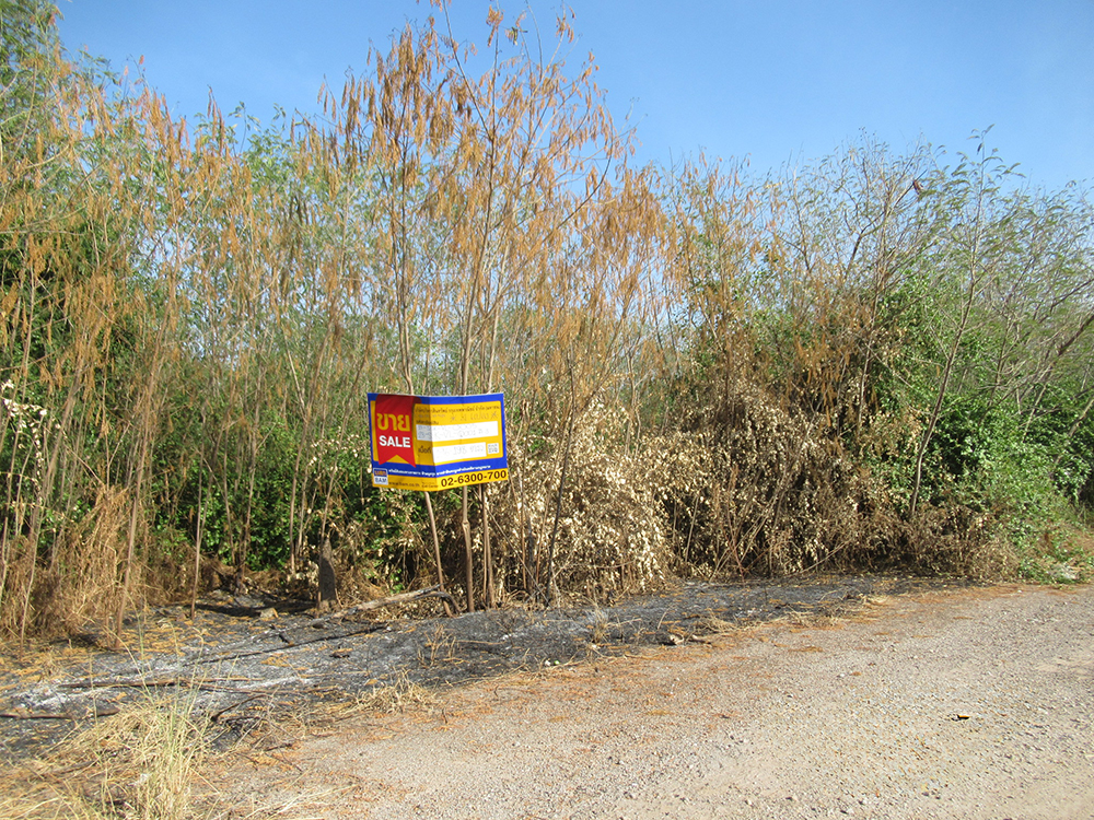 Vacant land, Le Chateau project, Samutsakorn city