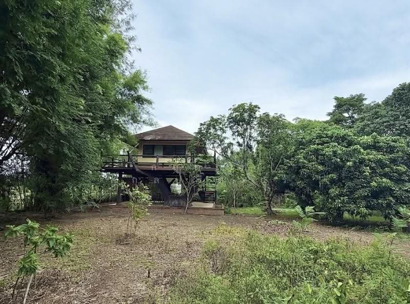 For Sale: 2-Rai Vacation Home with Unique Treehouse in Khanong Phra, Pak Chong, Nakhon Ratchasima