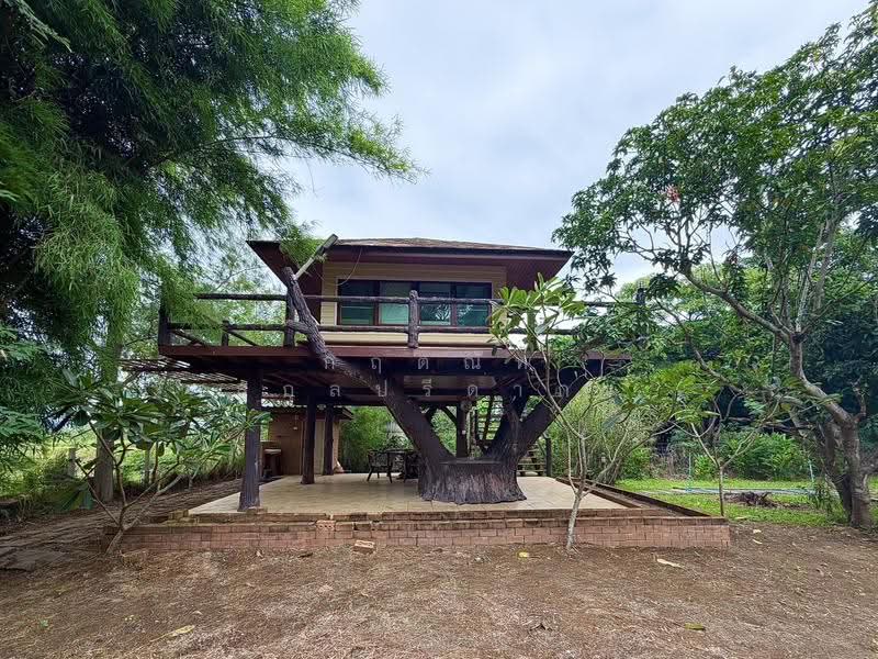 For Sale: 2-Rai Vacation Home with Unique Treehouse in Khanong Phra, Pak Chong, Nakhon Ratchasima