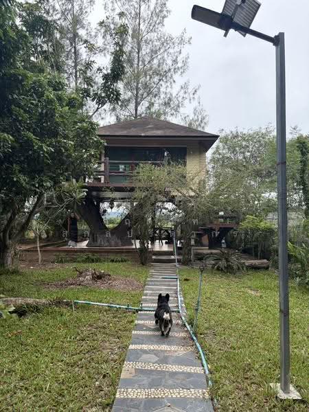 For Sale: 2-Rai Vacation Home with Unique Treehouse in Khanong Phra, Pak Chong, Nakhon Ratchasima