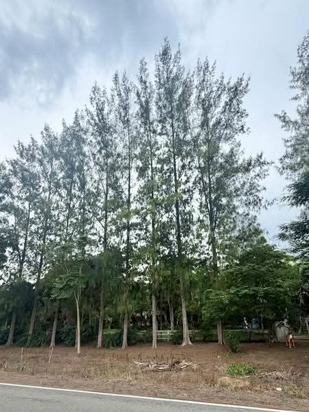 For Sale: 2-Rai Vacation Home with Unique Treehouse in Khanong Phra, Pak Chong, Nakhon Ratchasima
