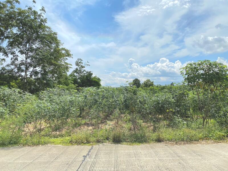 Land for sale in Bang But, 200 sq m, filled in, near Road 3471-1 km,, Rayong
