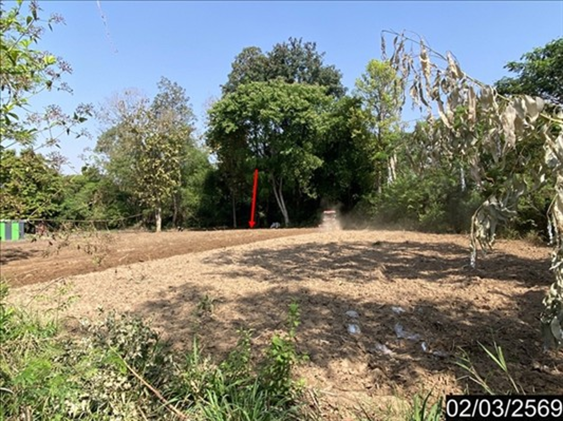 Empty Land in Sri Thaen, Udon Thani