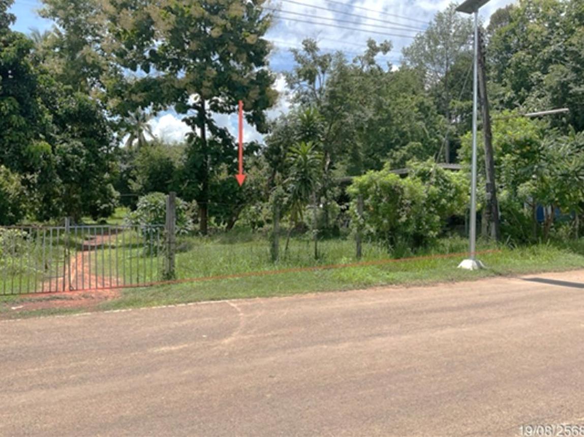 Vacant Land in That Phanom, Nakhon Phanom