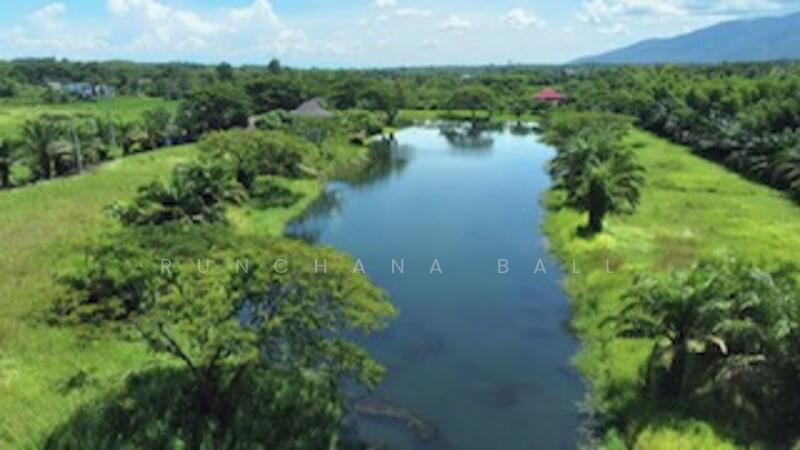 L104 Land for sale near Prem international school, Chiang Mai
