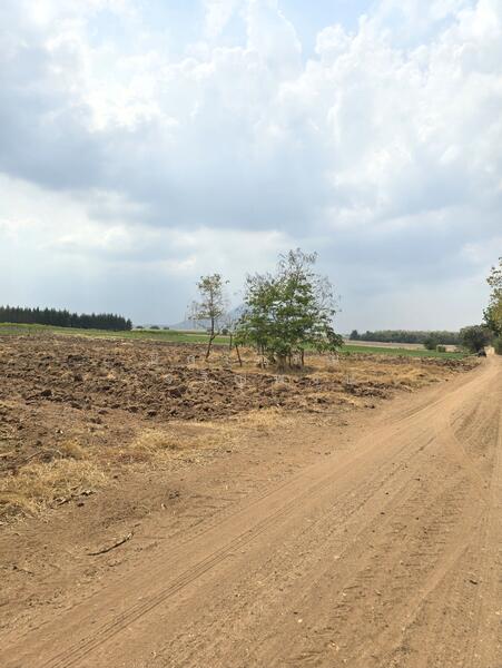 ที่ดิน บ้านโคก เพชรบูรณ์, Phetchabun