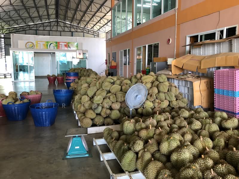 Tha Mai Cold Storage, Chanthaburi