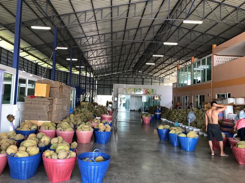 Tha Mai Cold Storage, Chanthaburi