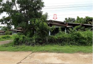 ที่ดินพร้อมสิ่งปลูกสร้าง เจริญศิลป์ จังหวัดสกลนคร